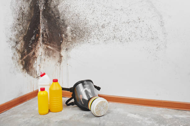 Best Mold Removal for HVAC Installations  in Firestone, CO